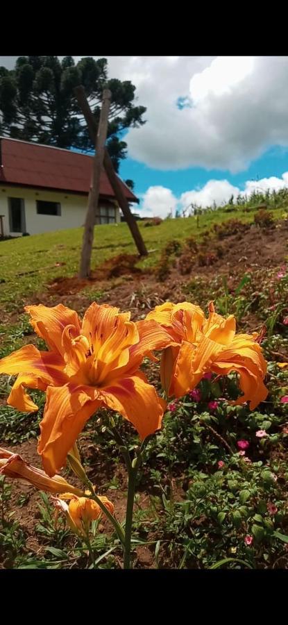 Villa Chale Com Vidros E Hidromassagem São Bento do Sapucaí Exterior foto
