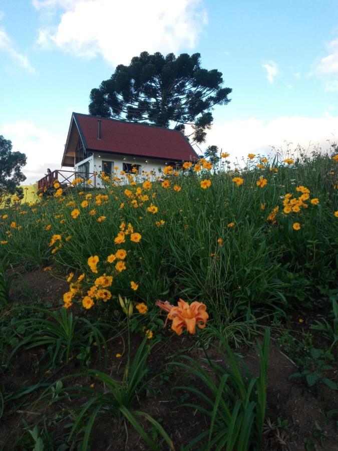 Villa Chale Com Vidros E Hidromassagem São Bento do Sapucaí Exterior foto